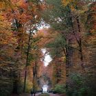 Schlosspark Benrath bei Düsseldorf 2009