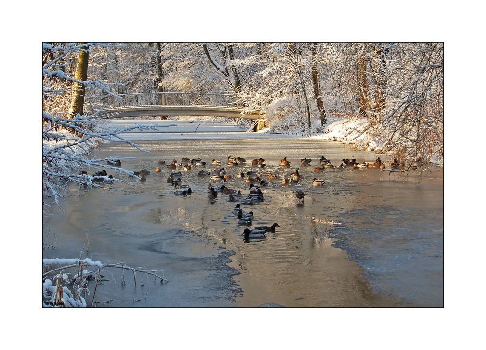 Schloßpark Berlin-Buch 03