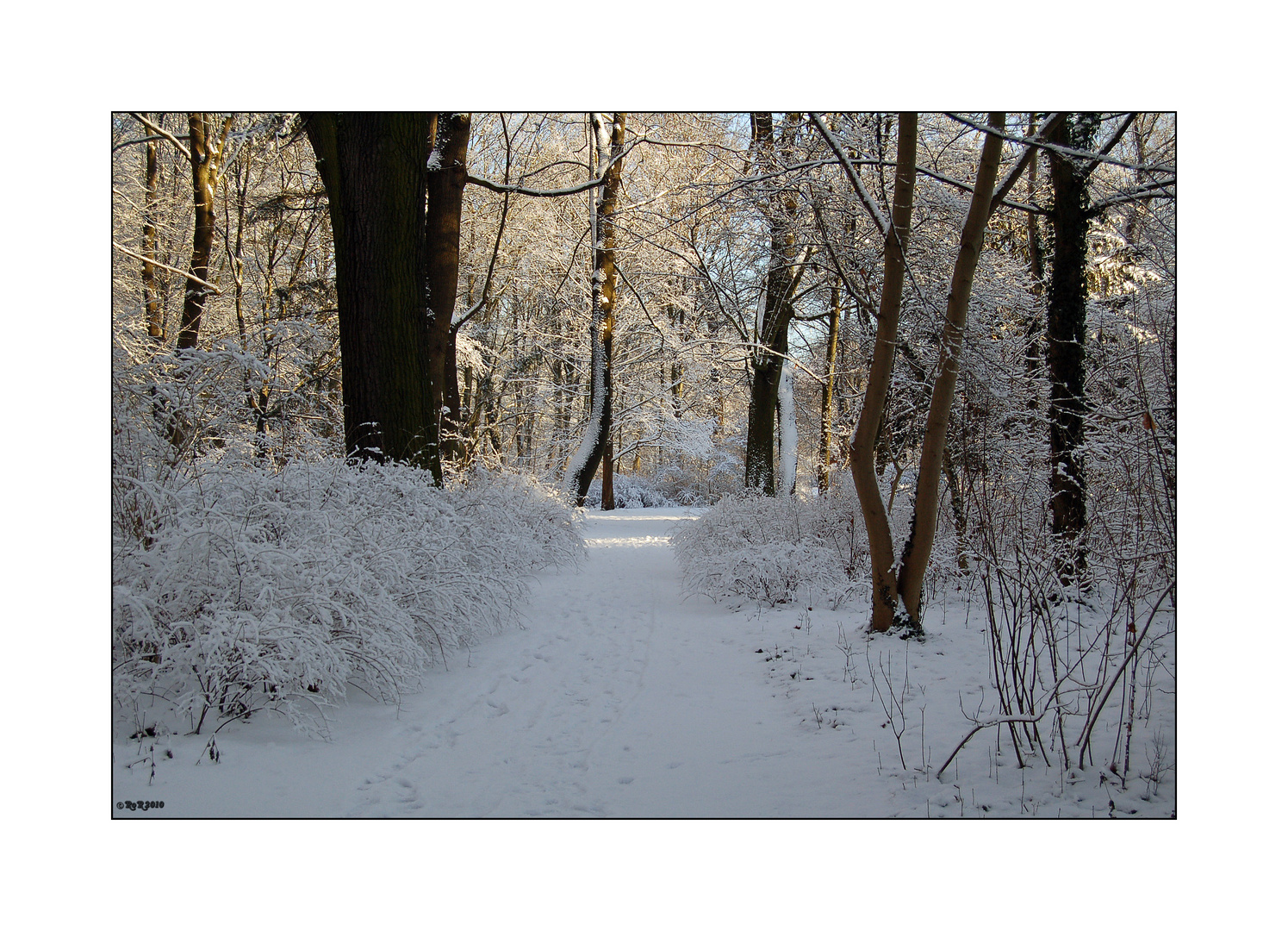 Schloßpark Berlin-Buch 07