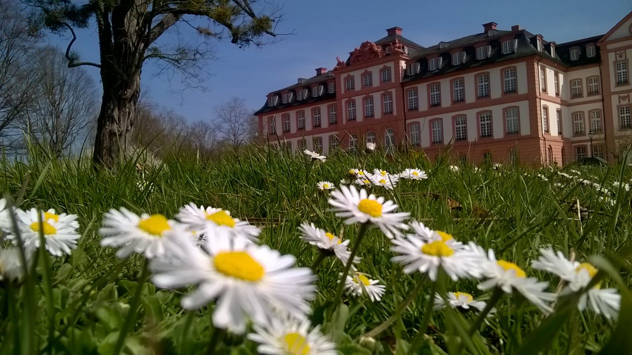 Schlosspark Biebrich