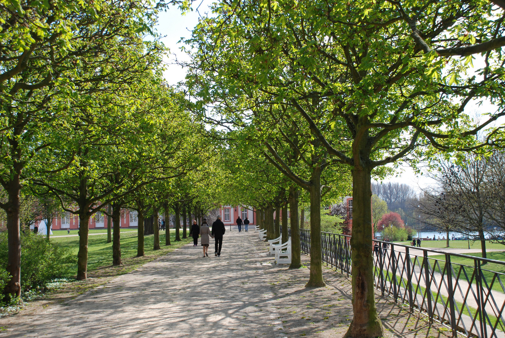 Schlosspark Biebrich