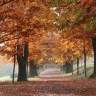 Schloßpark Blankenburg