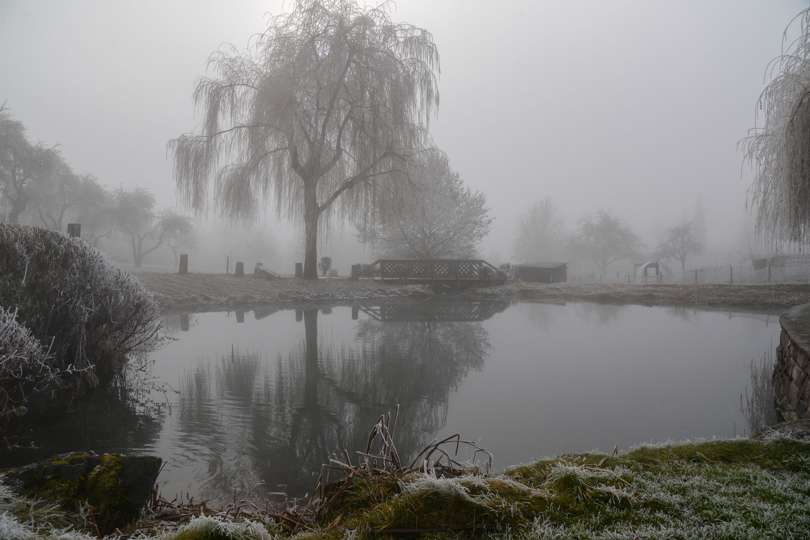 Schlosspark Bonndorf im Nebel