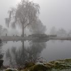Schlosspark Bonndorf im Nebel