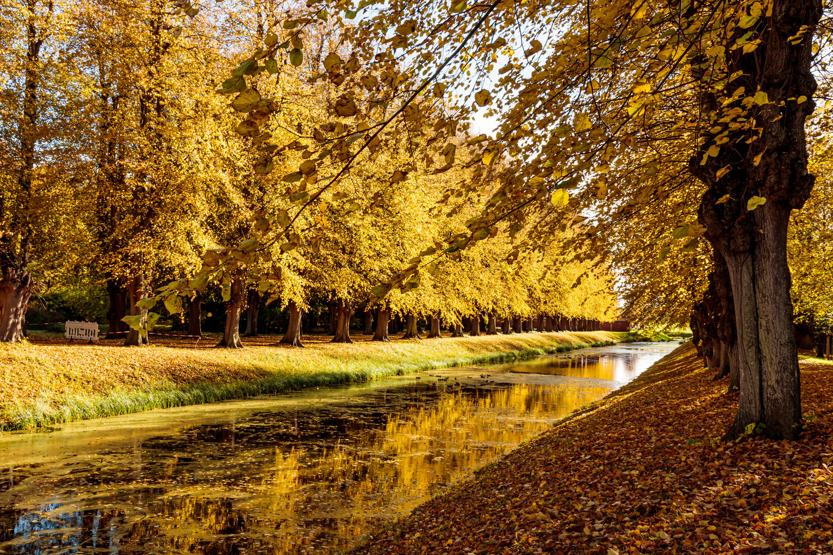 Schlosspark Bothmer mit goldenem Spiegel