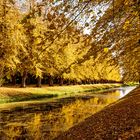 Schlosspark Bothmer mit goldenem Spiegel