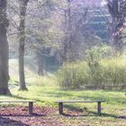 Schlosspark Burgscheidungen