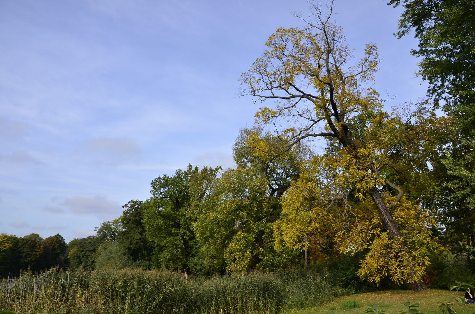 Schlosspark Charlottenburg - Berlin