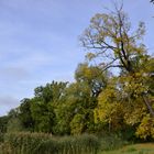 Schlosspark Charlottenburg - Berlin