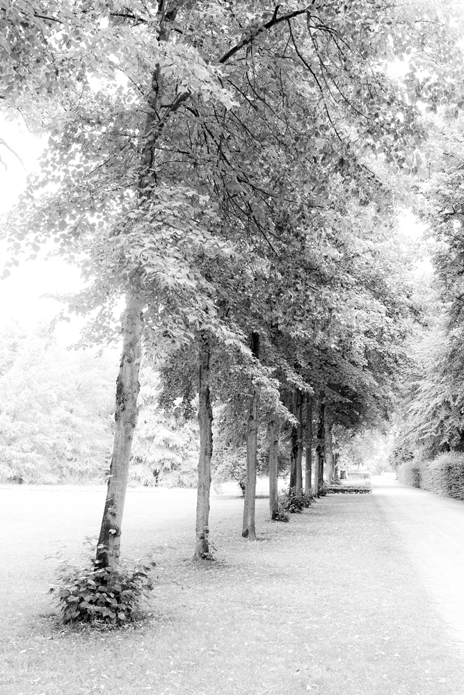 Schlosspark Charlottenburg