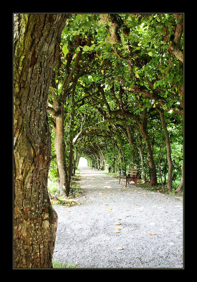 Schlosspark Dachau