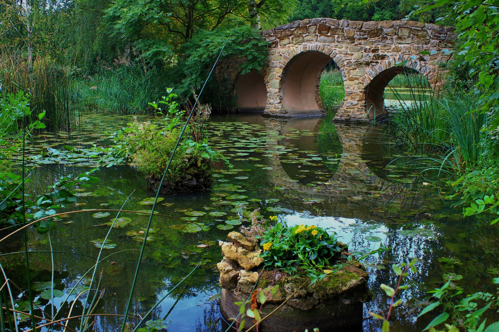 Schlosspark Dennenlohe