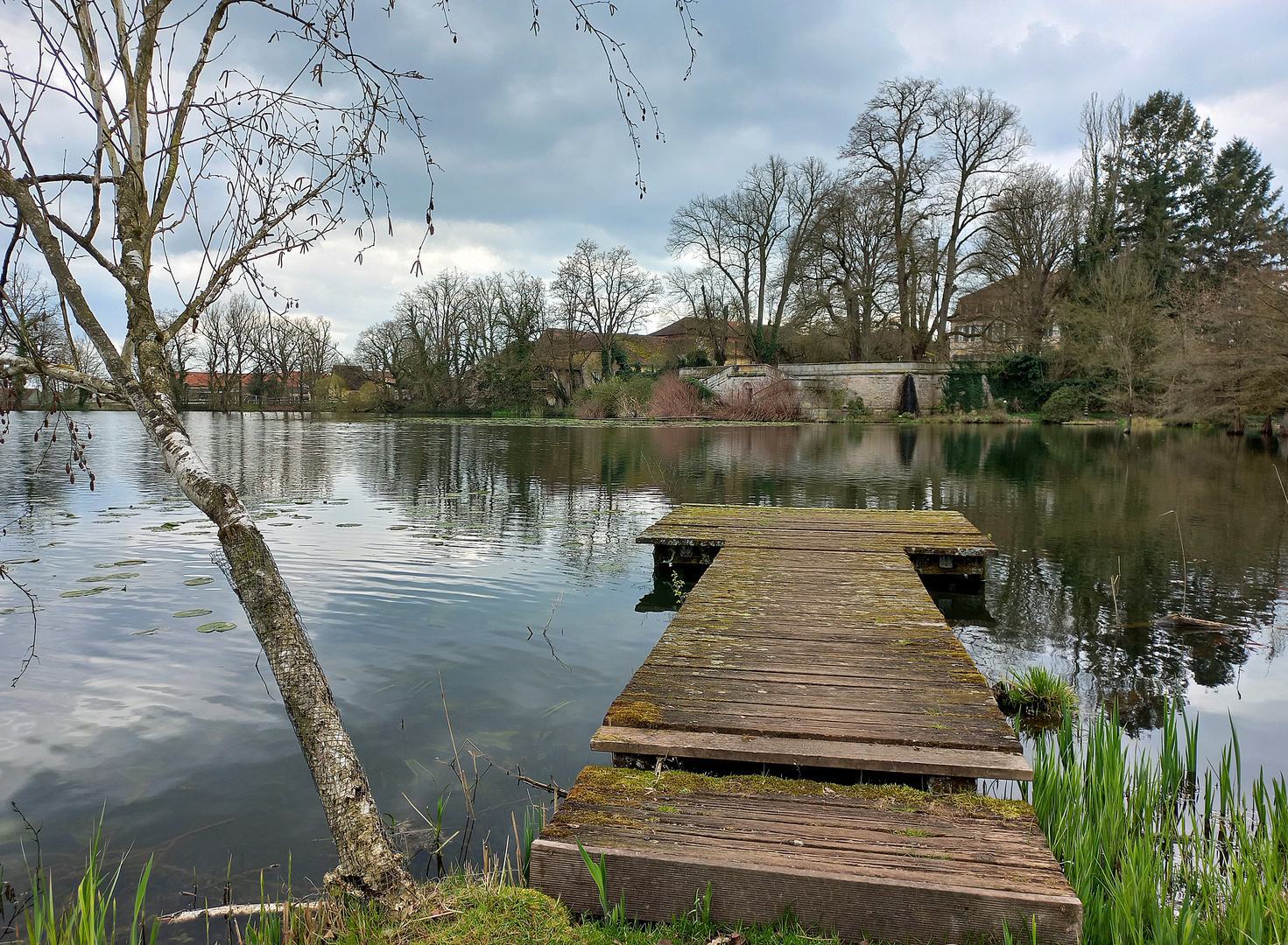 Schlosspark Dennenlohe (2)