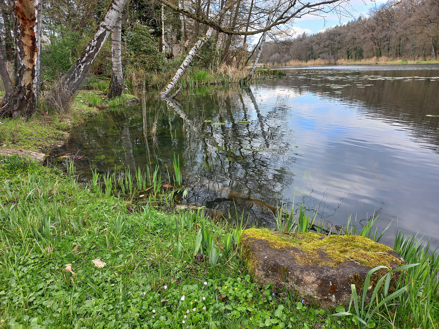 Schlosspark Dennenlohe (3)