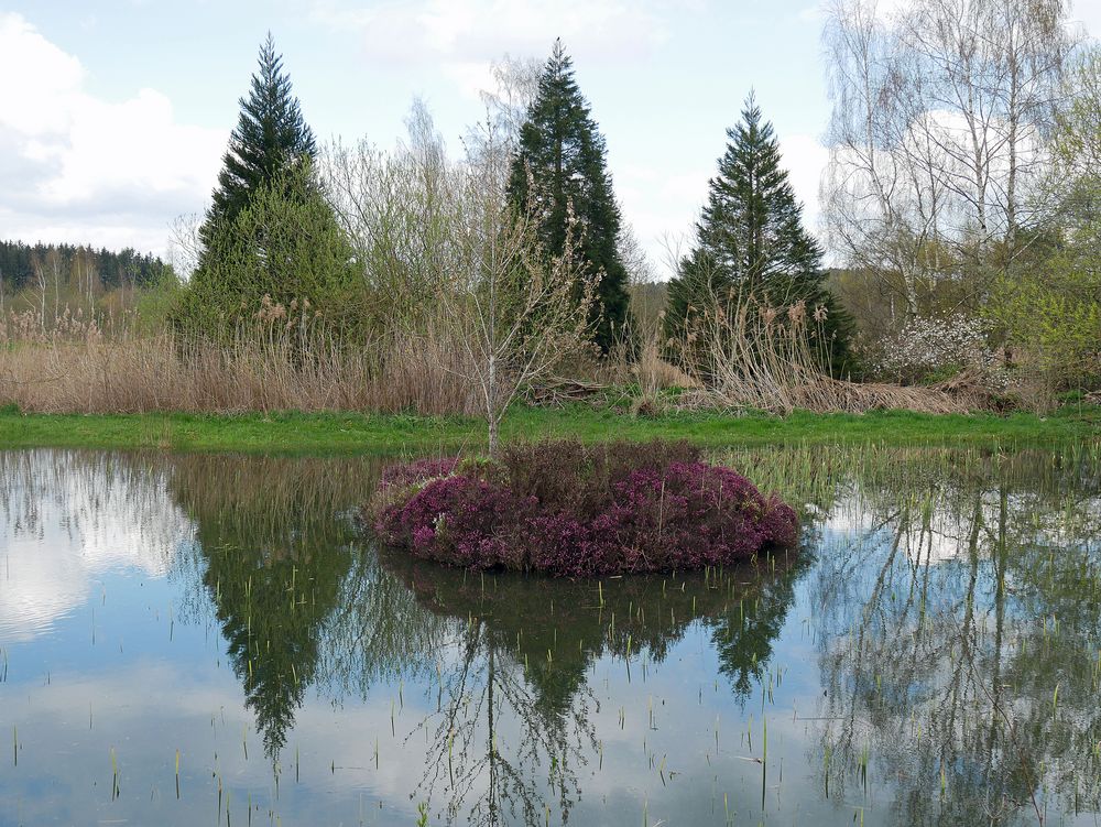 Schlosspark Dennenlohe (6)