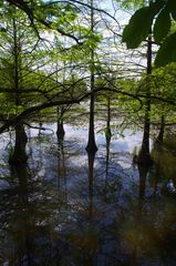 Schlosspark Dennenlohe (8)