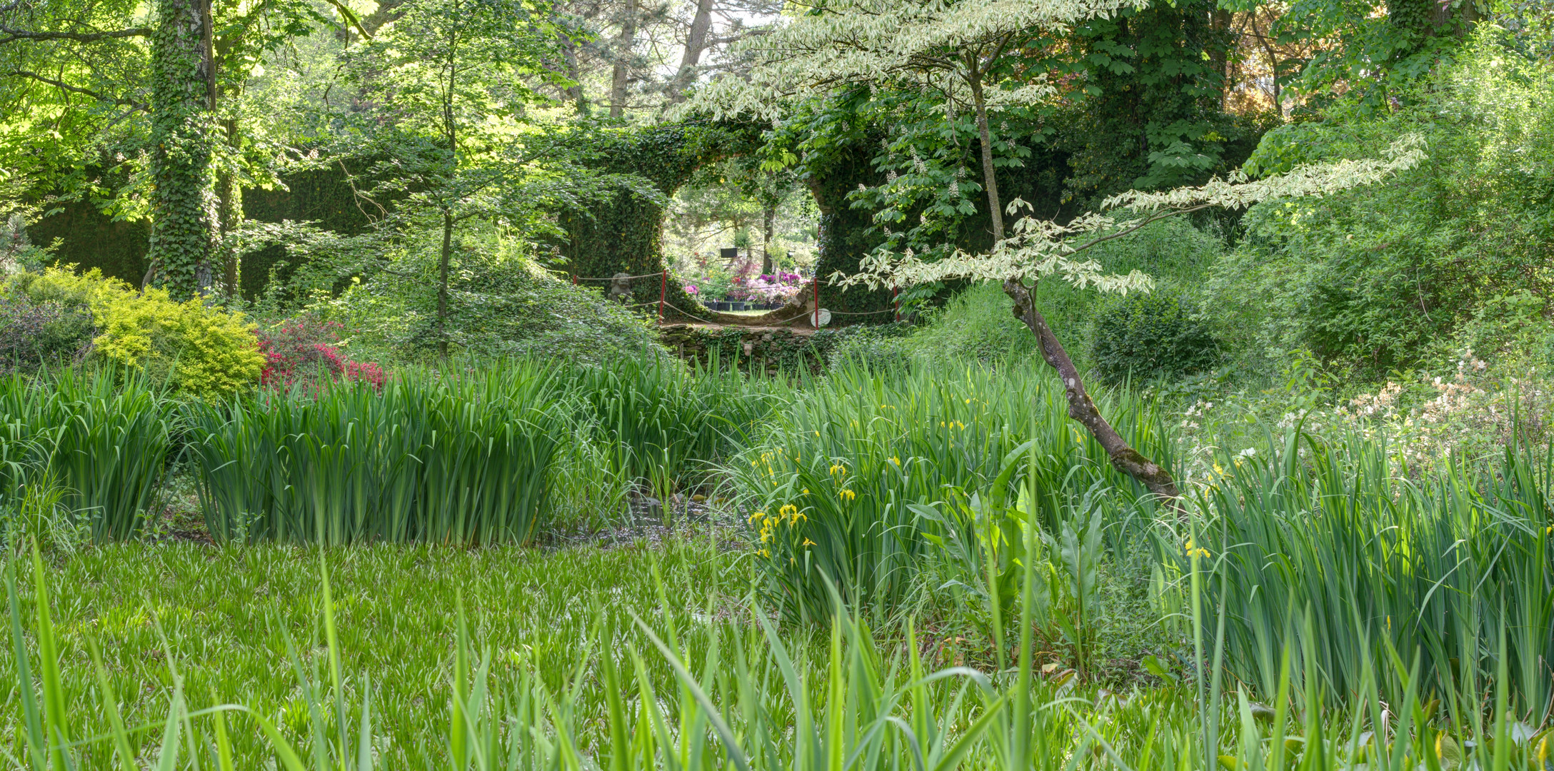 Schloßpark Dennenlohe