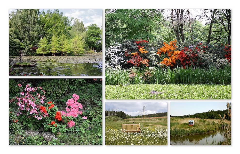 Schlosspark Dennenlohe