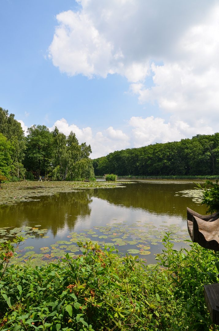 Schlosspark Dennenlohe - Nr. 12