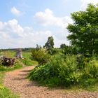 Schlosspark Dennenlohe - Nr. 4