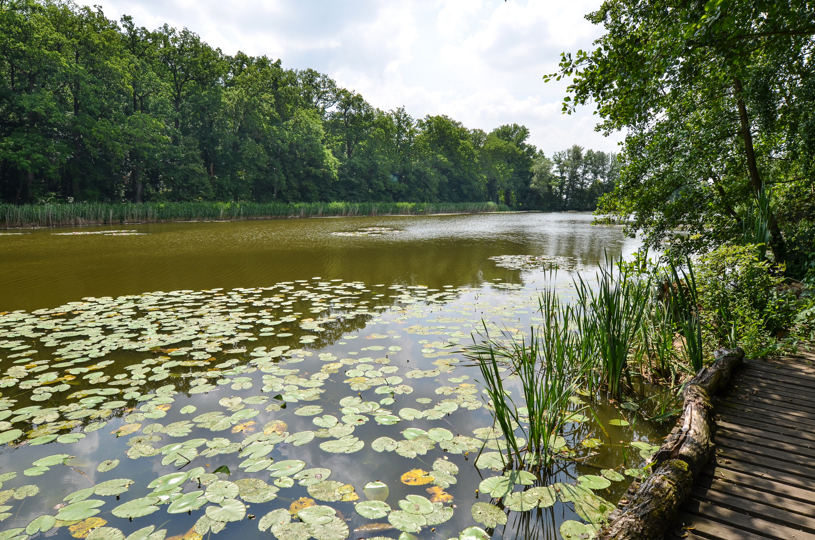 Schlosspark Dennenlohe - Nr. 8