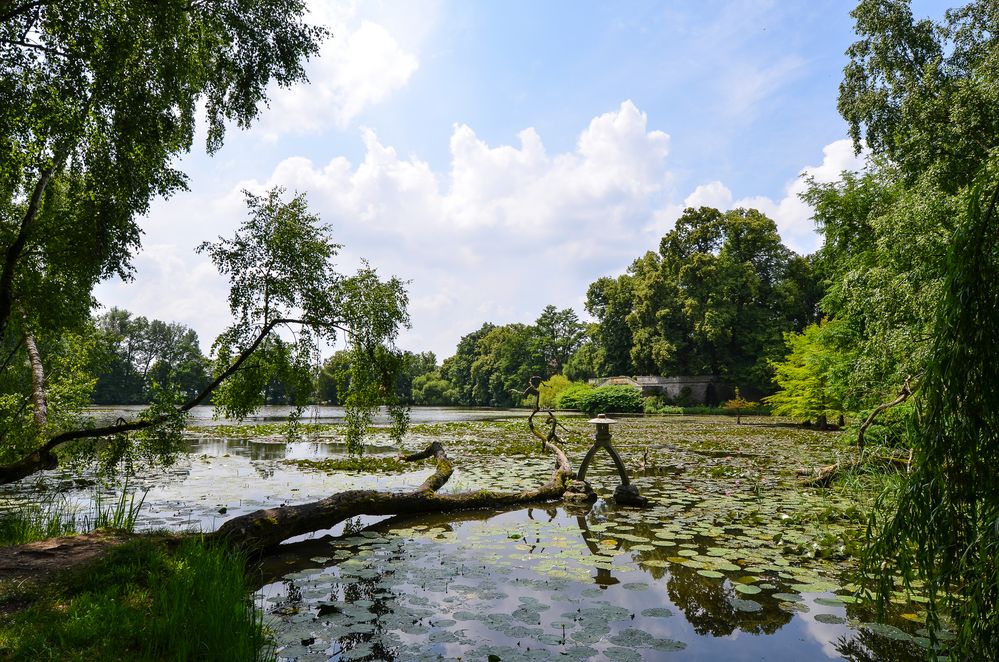 Schlosspark Dennenlohe - Nr. 9