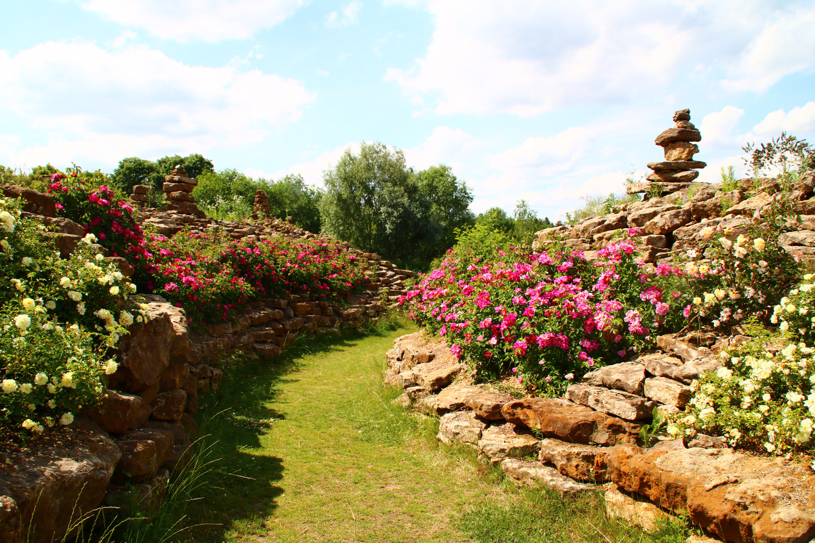 schlosspark Dennenlohe, Rosensteingarten