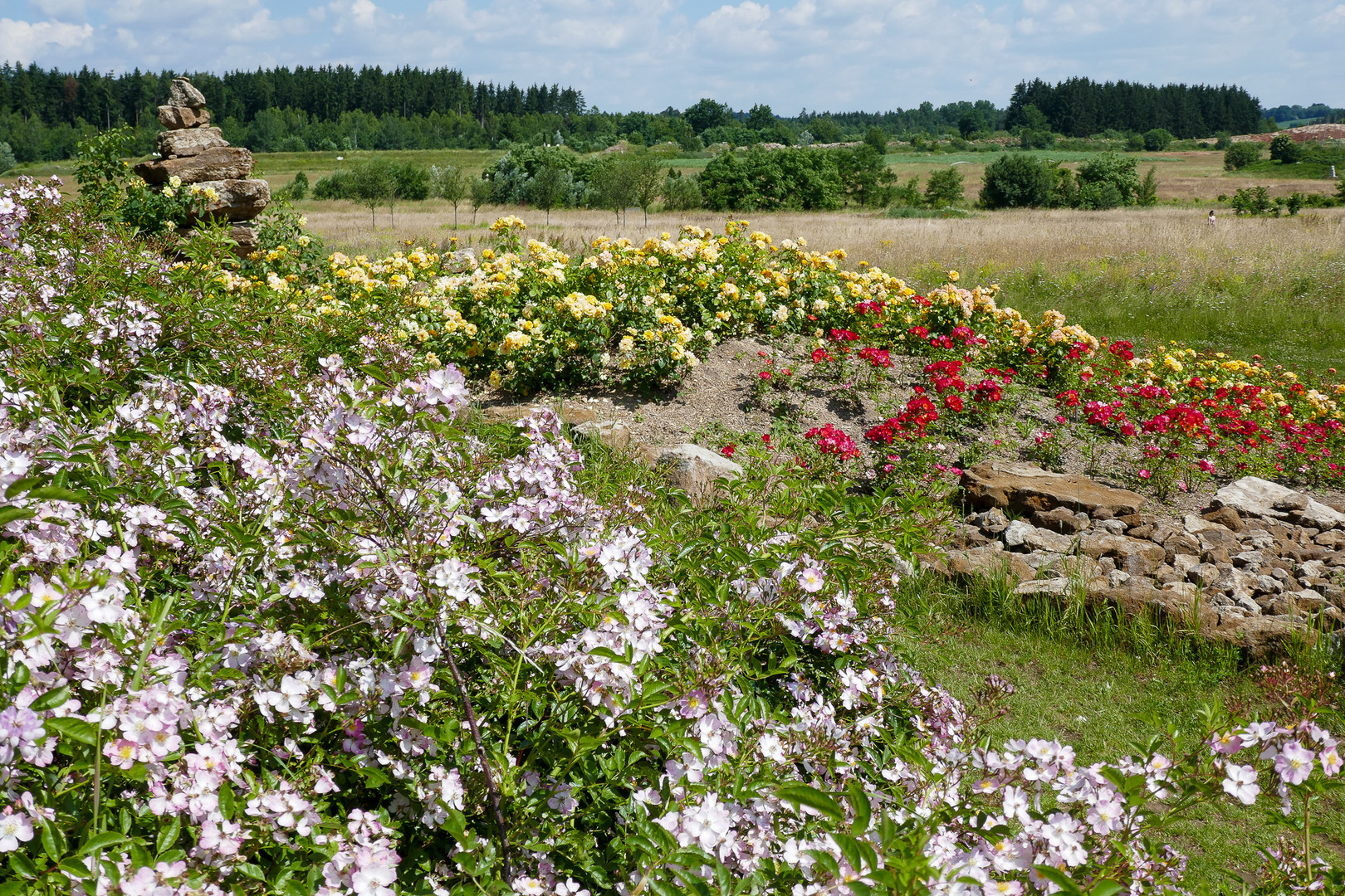 Schlosspark Dennenlohe - Rosenzeit Nr.3