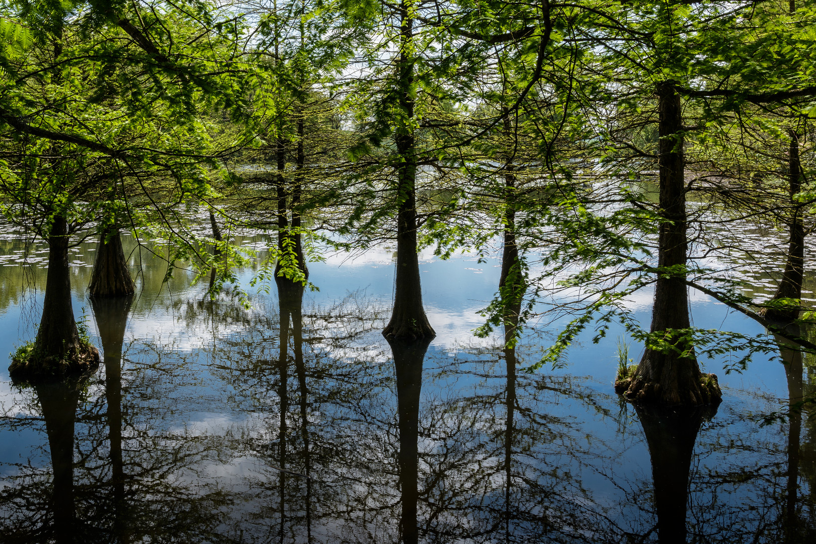 Schlosspark Dennenlohe - Upside Down ?