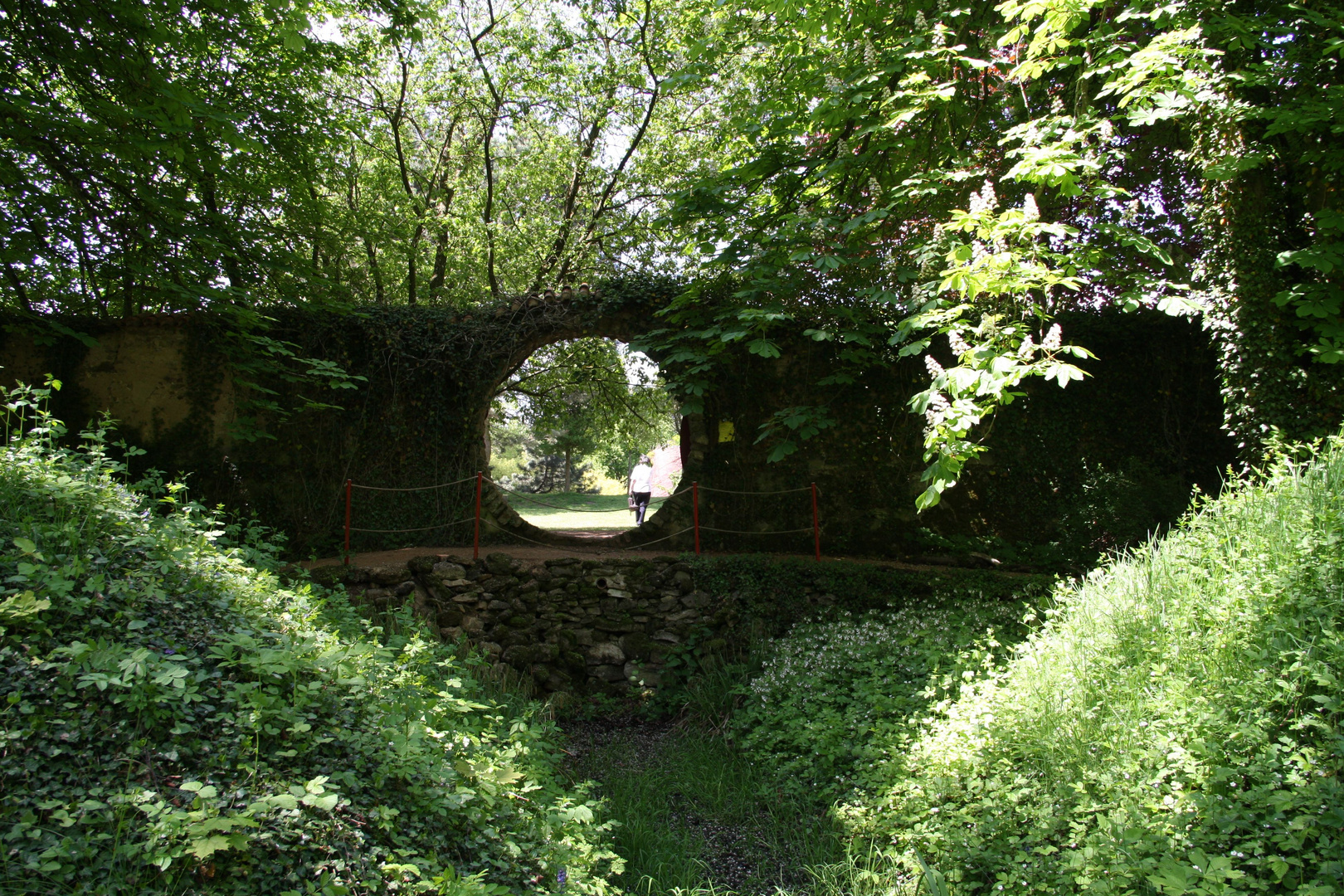 Schlosspark Dennenlohe_2