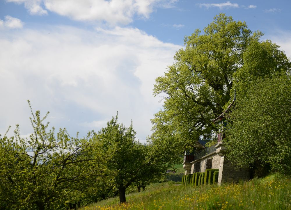 Schlosspark