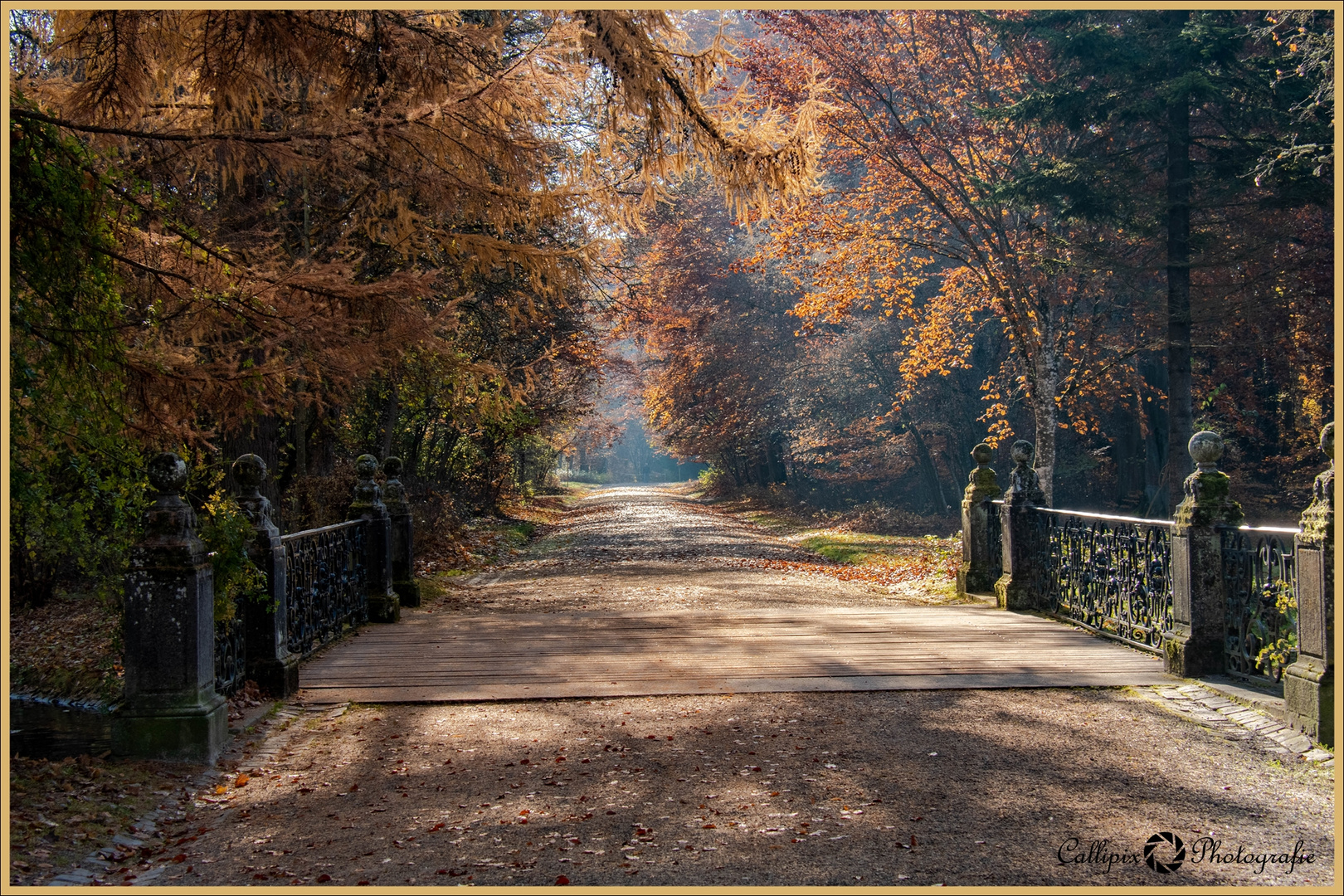 Schlosspark Donaueschingen