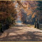 Schlosspark Donaueschingen