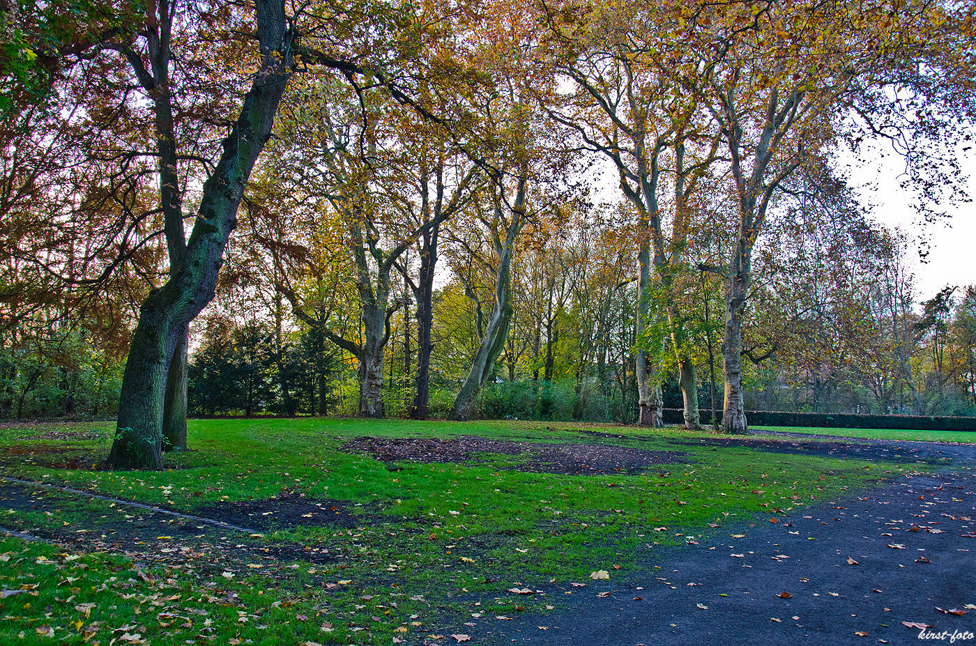 Schlosspark-Drnsteinfurt