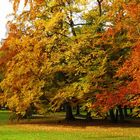 Schlosspark Eggenberg