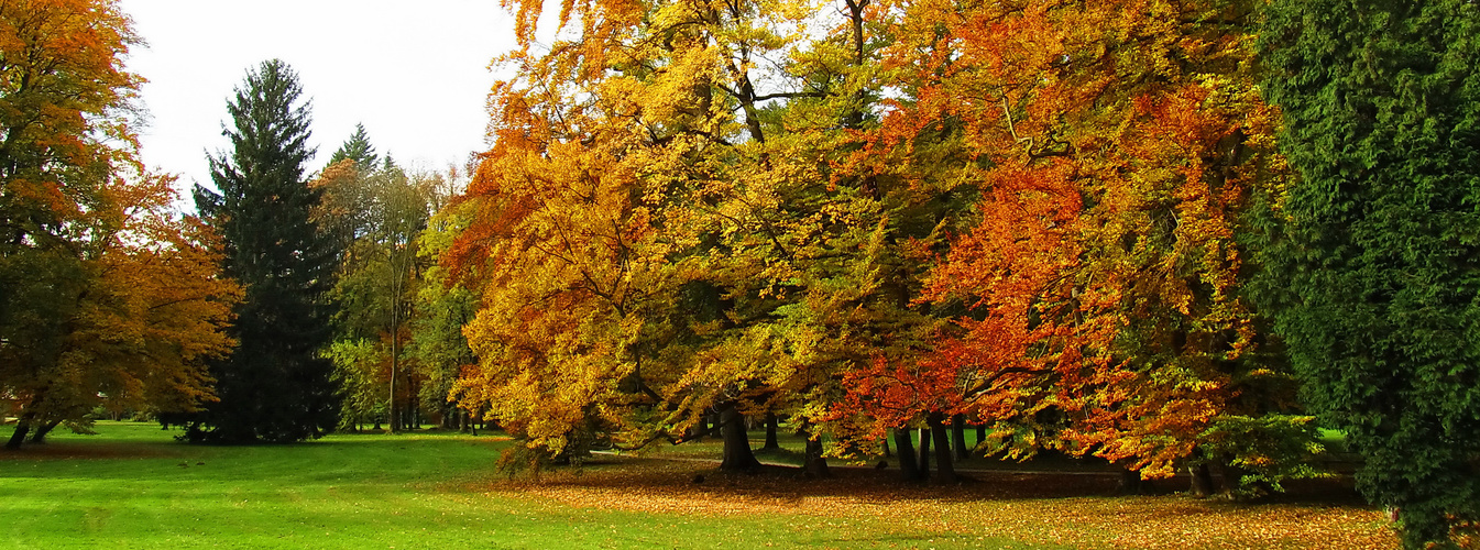 Schlosspark Eggenberg