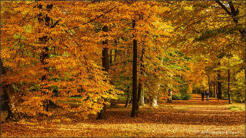 Schlosspark Eggenberg