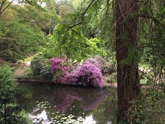 Schloßpark Eller