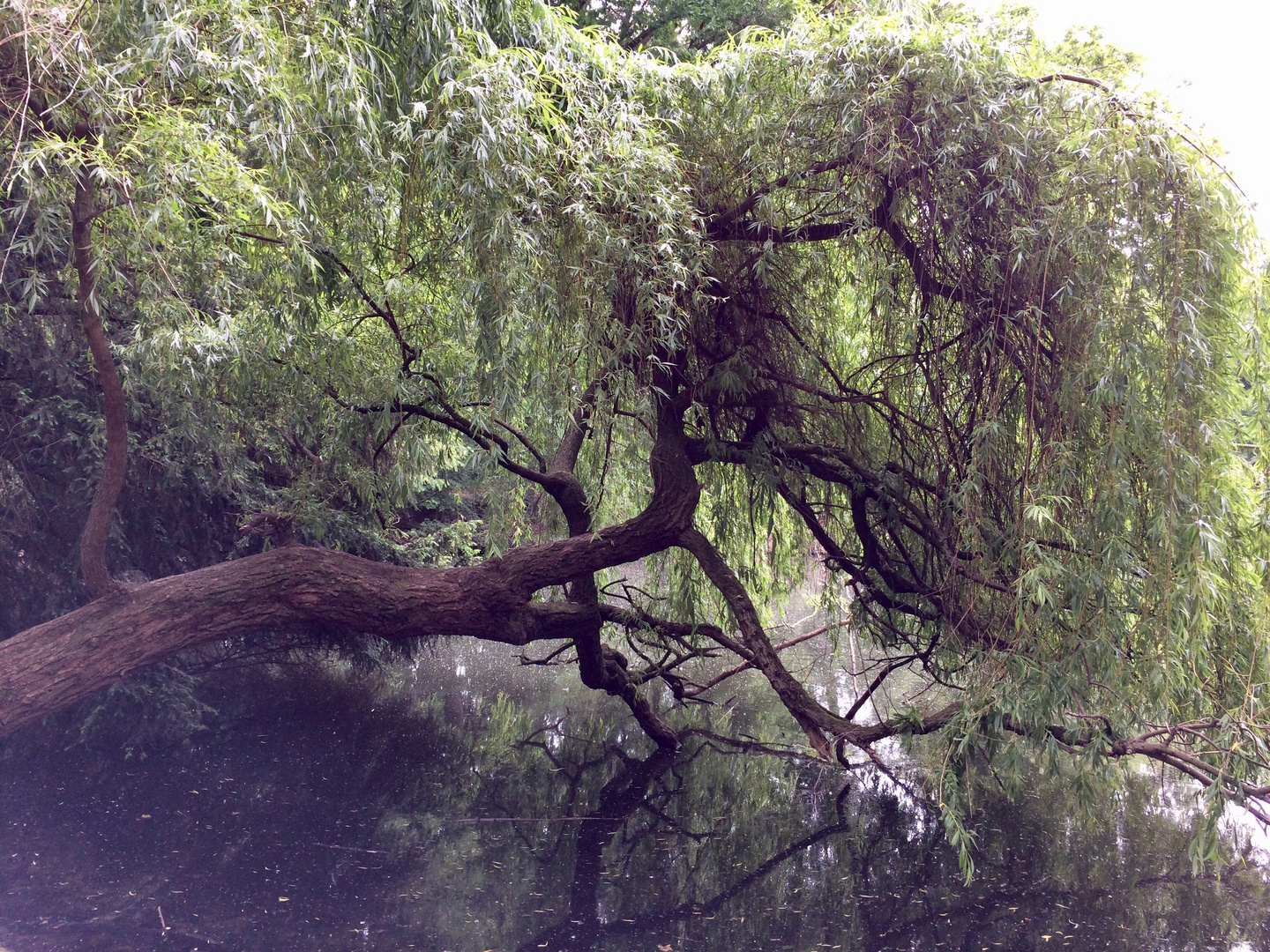 Schloßpark Eller