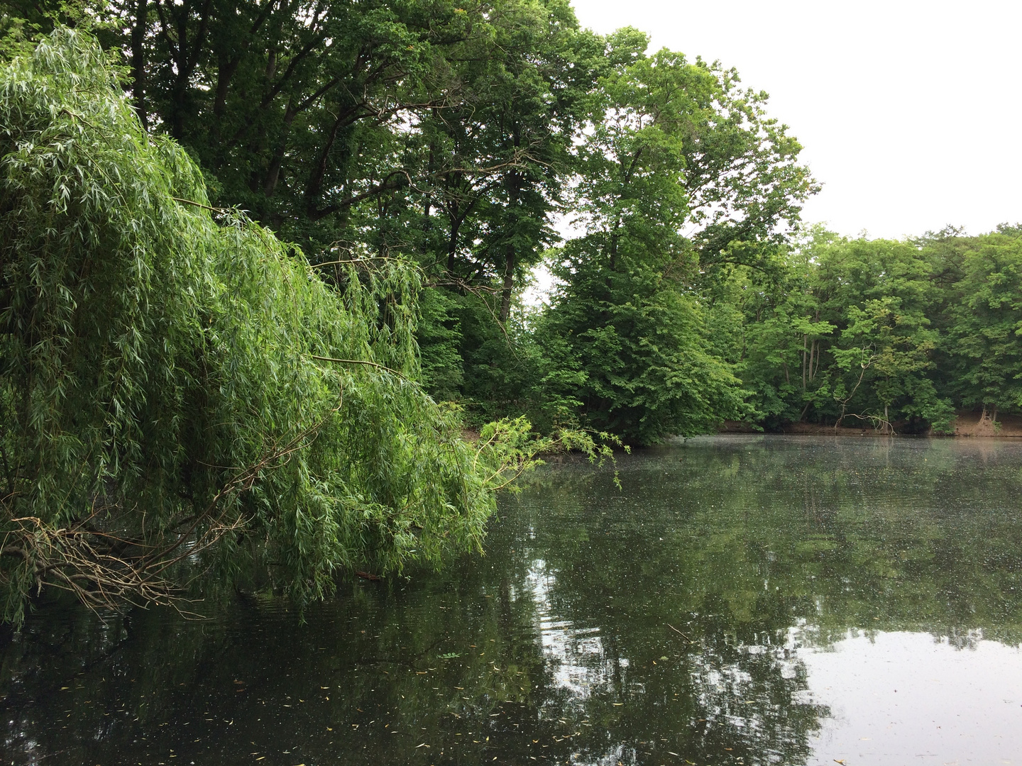 Schloßpark Eller