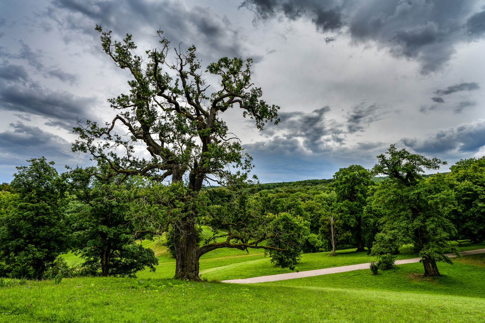 Schlosspark Ettersburg 05