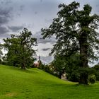 Schlosspark Ettersburg 08