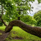 Schlosspark Ettersburg 10