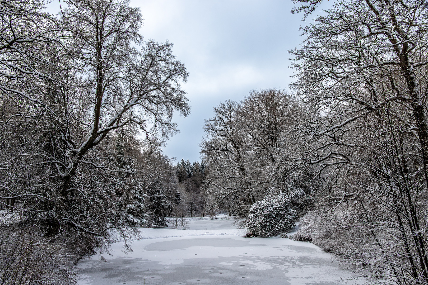 Schlosspark Fasanerie