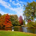 Schloßpark Favorite Rastatt