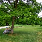 Schlosspark Fulda