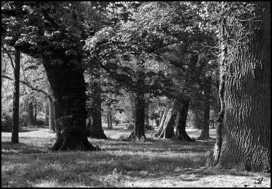 Schlosspark Genshagen 2