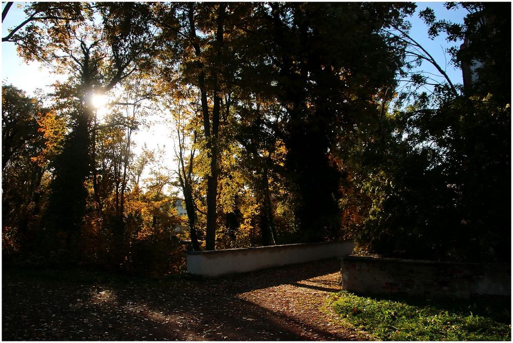 Schloßpark Glauchau Foto & Bild jahreszeiten, herbst, glauchau Bilder