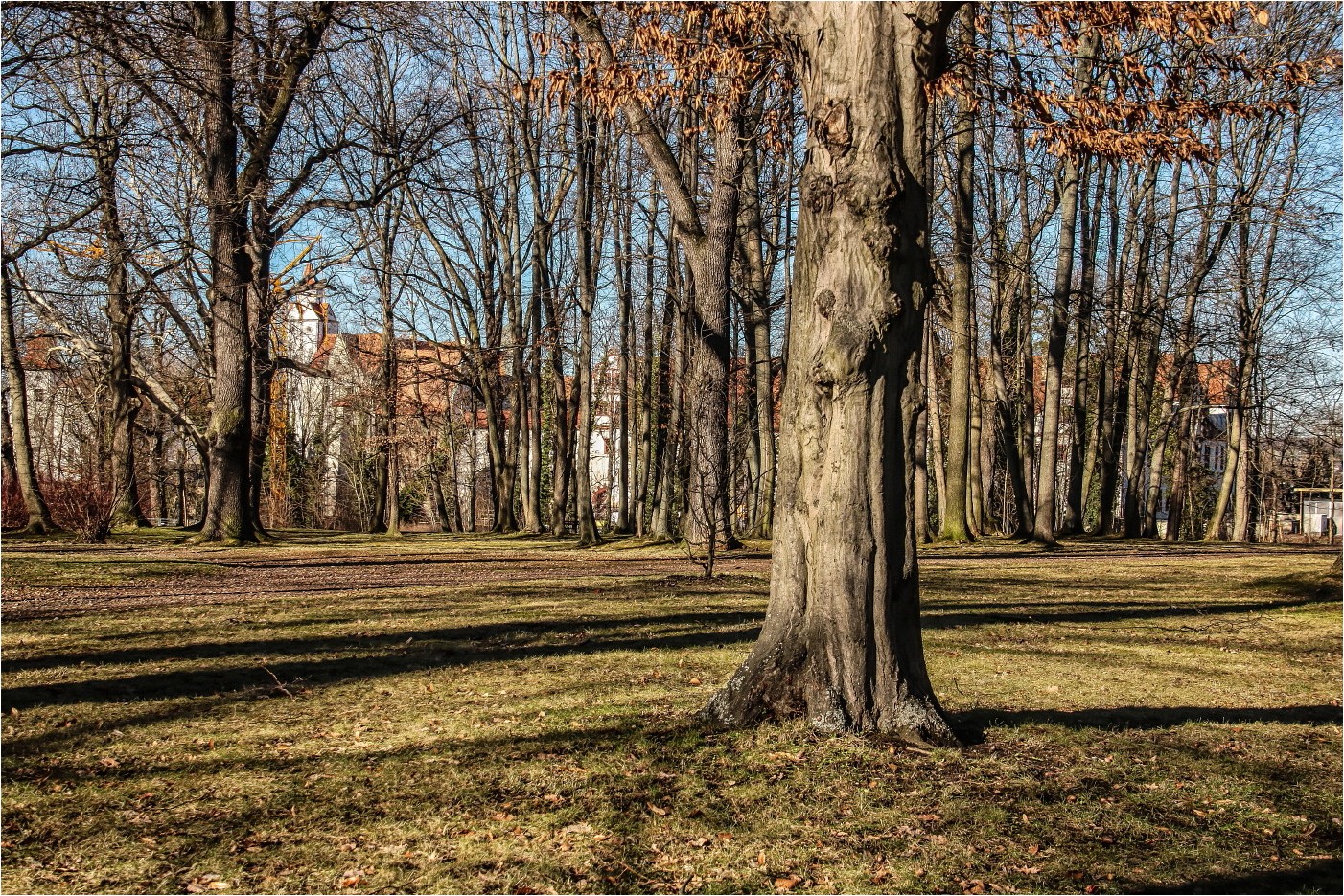 Schloßpark Glauchau Foto & Bild art, park, world Bilder auf Schloßpark Glauchau Foto & Bild art, park, world Bilder auf
