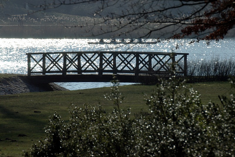 Schloßpark Glienicke - Brücke im Licht